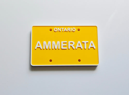 Personalized 3D Printed Custom Name License Plate Canada Provinces Kids Ride-On Bike Toy Gift