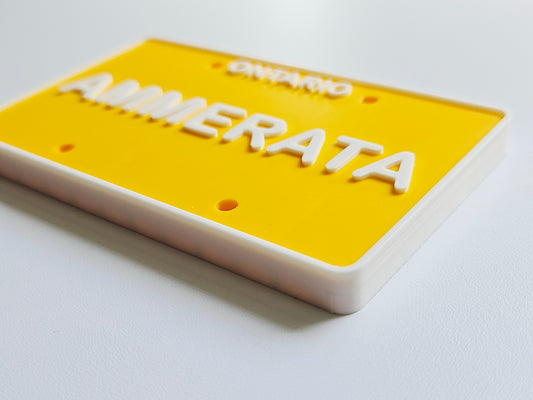 Personalized 3D Printed Custom Name License Plate Canada Provinces Kids Ride-On Bike Toy Gift