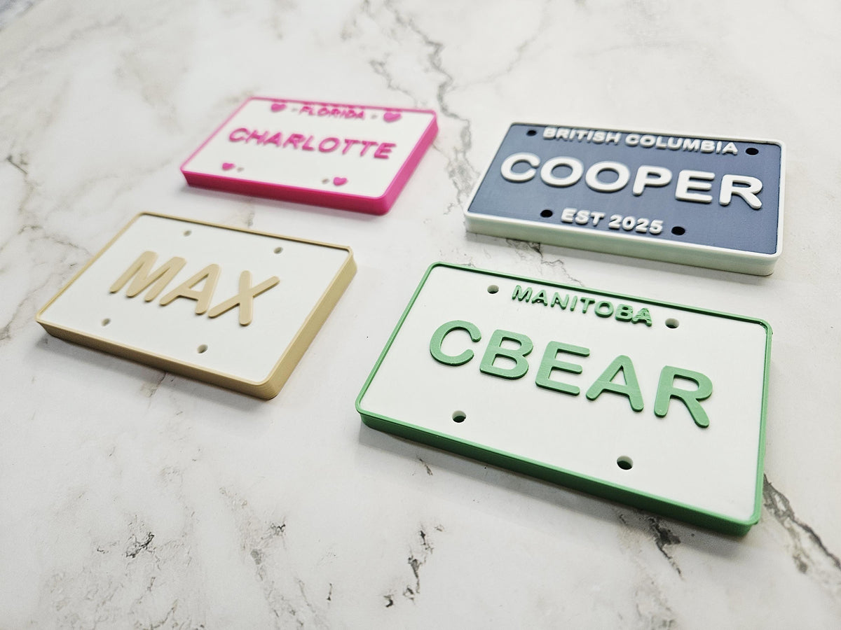 Personalized 3D Printed Custom Name Licenses Plate US Canada Provinces Kids Ride-On Bike Toy Gift