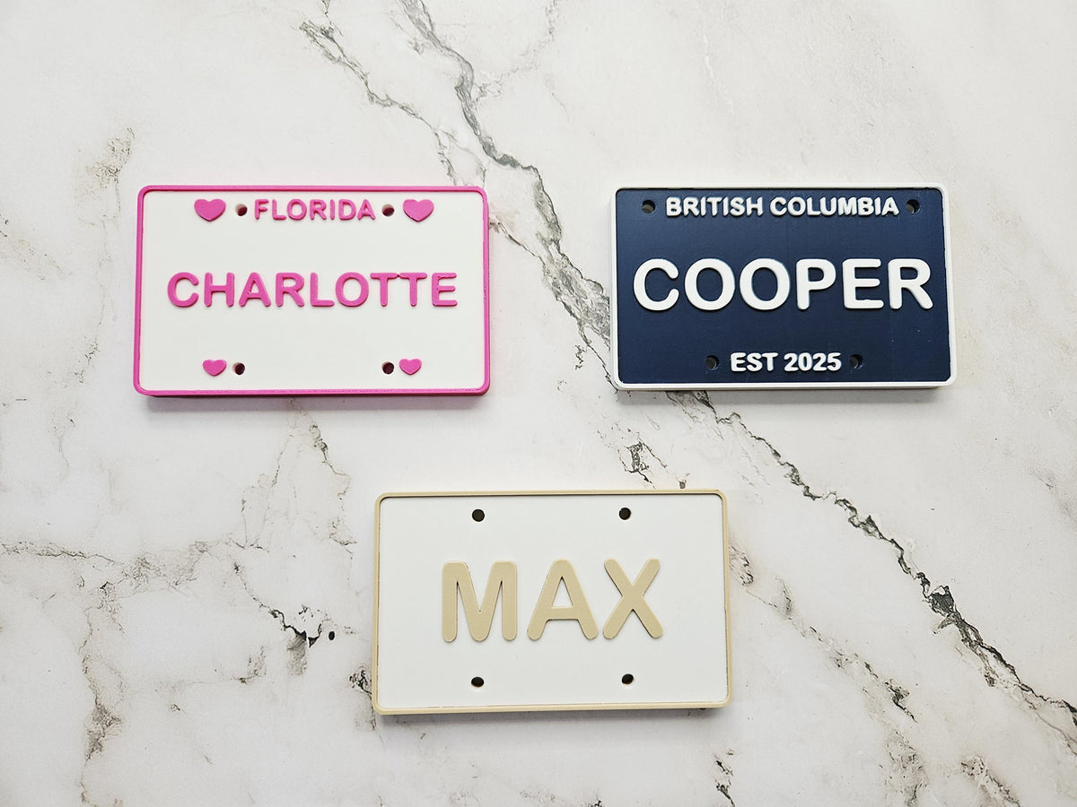 Custom Name Mini License Plate - US & Canada Editions