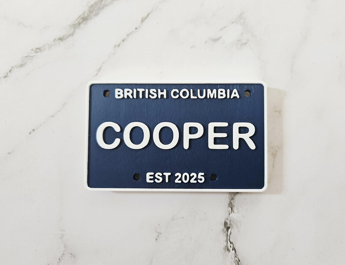 Custom Name Mini License Plate - US & Canada Editions